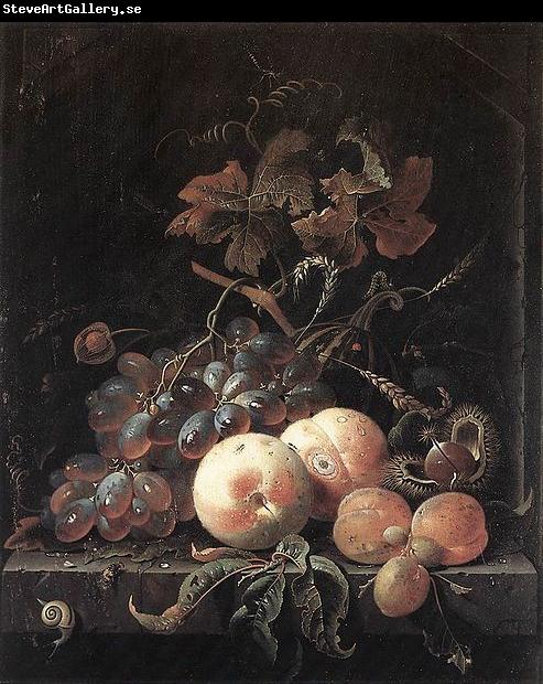 Abraham Mignon Still-Life with Fruits